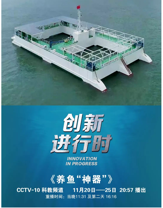 風(fēng)再猛、浪再大，都攔不住我養(yǎng)魚的雄心！