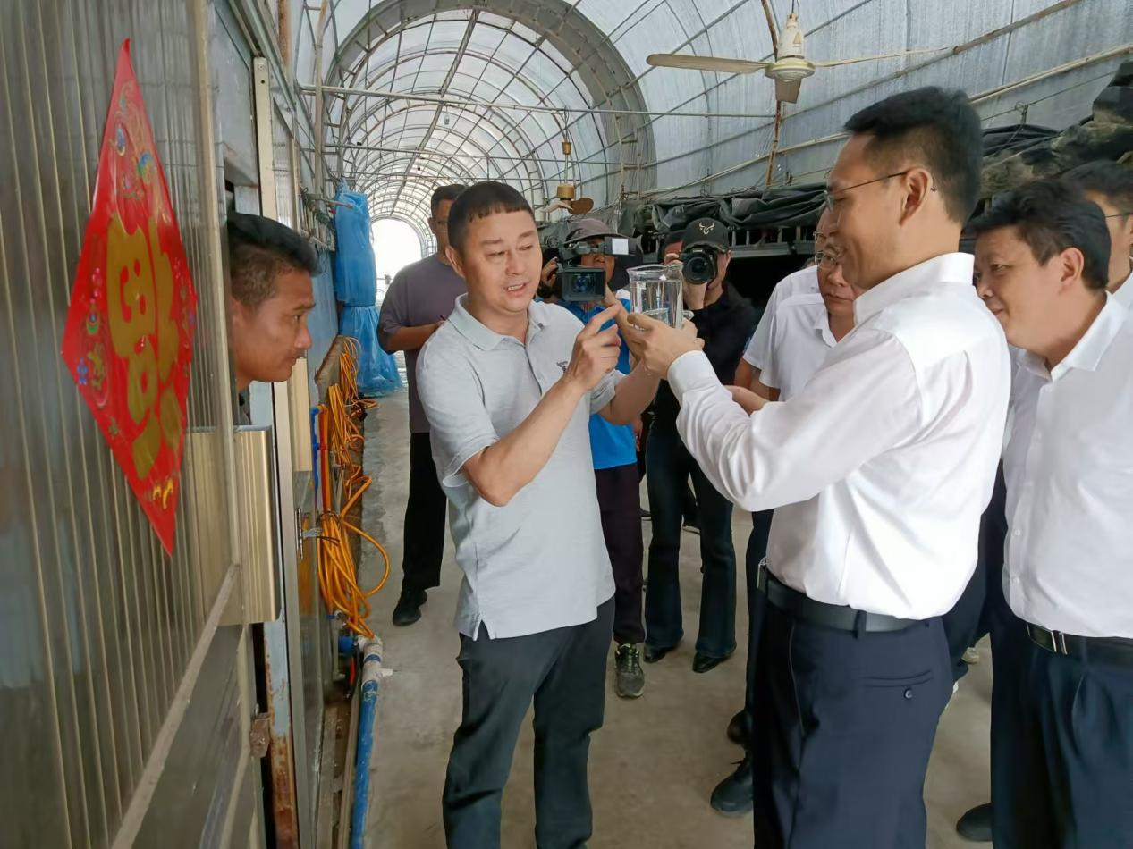 東方市委書(shū)記李?lèi)?ài)華一行調(diào)研晨海水產(chǎn)東方感城基地