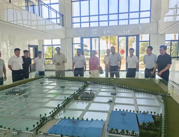 政企協(xié)同謀發(fā)展｜中山市政企代表團(tuán)赴晨海水產(chǎn)開(kāi)展?jié)O業(yè)現(xiàn)代化專(zhuān)項(xiàng)考察